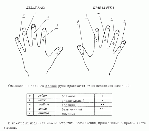 Аппликатура - расположение пальцев